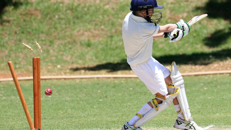 T20 World Cup: Host Nation Prepares for Spectacular Tournament